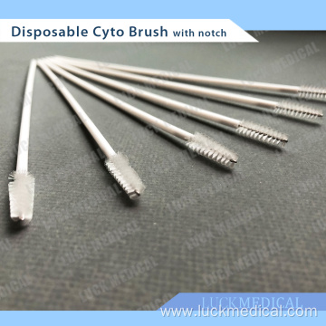 Disposable Cyto Brush with Notch